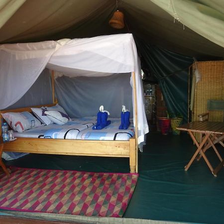 Crocodile Camp-Masai Mara Hotel Talek Eksteriør billede