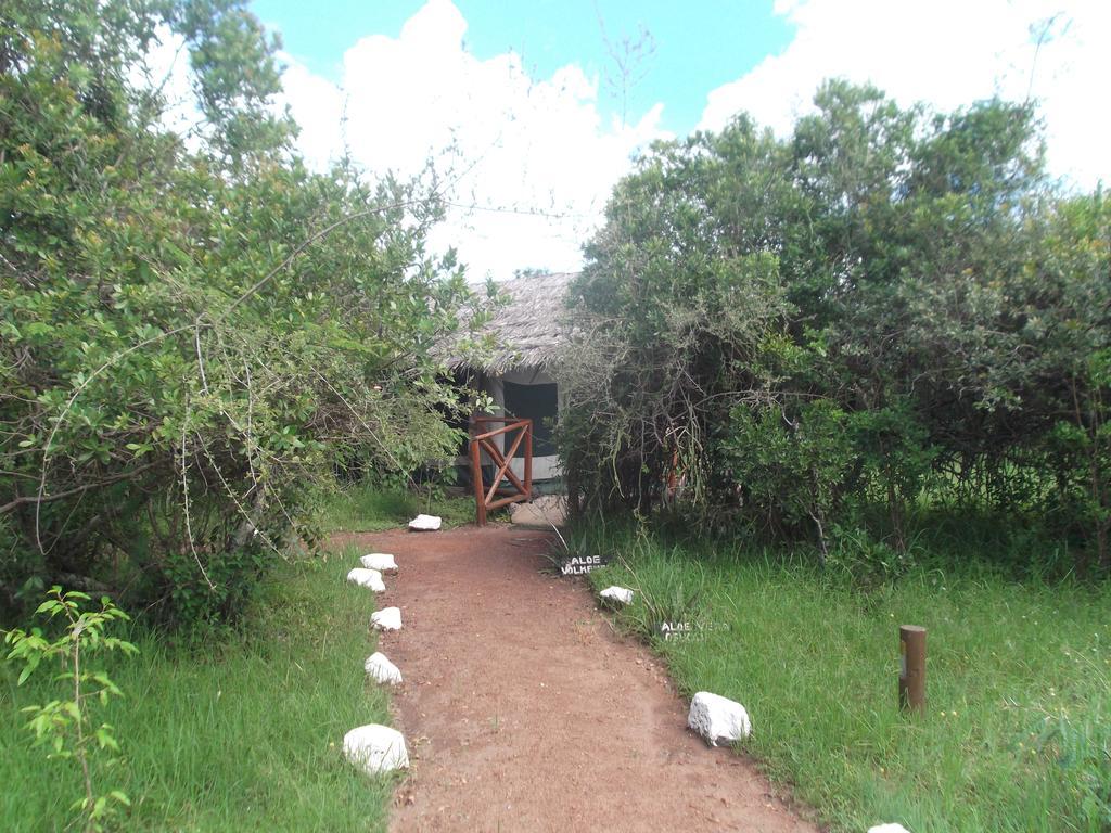 Crocodile Camp-Masai Mara Hotel Talek Eksteriør billede