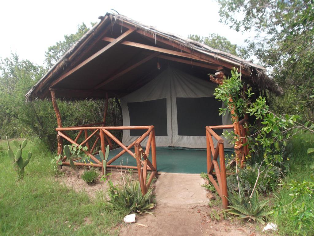 Crocodile Camp-Masai Mara Hotel Talek Eksteriør billede
